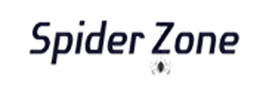 SpiderZone Seo